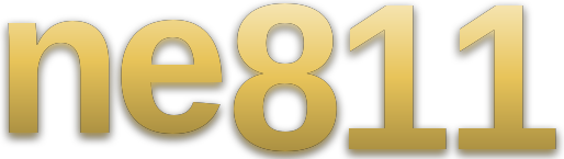 ne811 logo